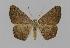  ( - BC EF Alc 00337)  @13 [ ] Copyright (2010) Unspecified Research Collection of Egbert Friedrich