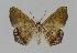  ( - BC EF Alc 00337)  @13 [ ] Copyright (2010) Unspecified Research Collection of Egbert Friedrich