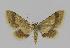  ( - BC EF Alc 00340)  @14 [ ] Copyright (2010) Unspecified Research Collection of Egbert Friedrich