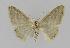  ( - BC EF Alc 00343)  @13 [ ] Copyright (2010) Unspecified Research Collection of Egbert Friedrich