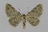  ( - BC EF Alc 00347)  @13 [ ] Copyright (2010) Unspecified Research Collection of Egbert Friedrich