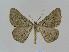  ( - BC EF Alc 00357)  @14 [ ] Copyright (2010) Unspecified Research Collection of Egbert Friedrich