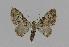  ( - BC EF Alc 00361)  @14 [ ] Copyright (2010) Unspecified Research Collection of Egbert Friedrich