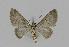  ( - BC EF Alc 00361)  @13 [ ] Copyright (2010) Unspecified Research Collection of Egbert Friedrich