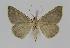  ( - BC EF Alc 00375)  @13 [ ] Copyright (2010) Unspecified Research Collection of Egbert Friedrich