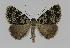  ( - BC EF Alc 00378)  @14 [ ] Copyright (2010) Unspecified Research Collection of Egbert Friedrich