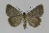  ( - BC EF Alc 00378)  @13 [ ] Copyright (2010) Unspecified Research Collection of Egbert Friedrich