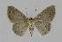  ( - BC EF Alc 00386)  @13 [ ] Copyright (2010) Unspecified Research Collection of Egbert Friedrich