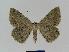  ( - BC EF Alc 00387)  @13 [ ] Copyright (2010) Unspecified Research Collection of Egbert Friedrich