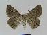  ( - BC EF Alc 00387)  @13 [ ] Copyright (2010) Unspecified Research Collection of Egbert Friedrich