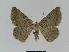  ( - BC EF Alc 00388)  @13 [ ] Copyright (2010) Unspecified Research Collection of Egbert Friedrich