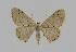  ( - BC EF Alc 00391)  @15 [ ] Copyright (2010) Unspecified Research Collection of Egbert Friedrich