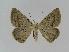  ( - BC EF Alc 00393)  @14 [ ] Copyright (2010) Unspecified Research Collection of Egbert Friedrich