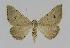  ( - BC EF Alc 00395)  @14 [ ] Copyright (2010) Unspecified Research Collection of Egbert Friedrich