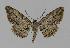  ( - BC EF Alc 00397)  @14 [ ] Copyright (2010) Unspecified Research Collection of Egbert Friedrich