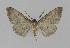  ( - BC EF Alc 00397)  @13 [ ] Copyright (2010) Unspecified Research Collection of Egbert Friedrich