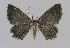  ( - BC EF Alc 00401)  @13 [ ] Copyright (2010) Unspecified Research Collection of Egbert Friedrich