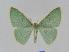  ( - BC EF Alc 00406)  @14 [ ] Copyright (2010) Unspecified Research Collection of Egbert Friedrich