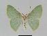  ( - BC EF Alc 00406)  @13 [ ] Copyright (2010) Unspecified Research Collection of Egbert Friedrich