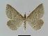  ( - BC EF Alc 00410)  @14 [ ] Copyright (2010) Unspecified Research Collection of Egbert Friedrich