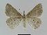 ( - BC EF Alc 00410)  @13 [ ] Copyright (2010) Unspecified Research Collection of Egbert Friedrich