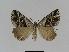  ( - BC EF Alc 00414)  @14 [ ] Copyright (2010) Unspecified Research Collection of Egbert Friedrich