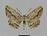  ( - BC EF Alc 00417)  @13 [ ] Copyright (2010) Unspecified Research Collection of Egbert Friedrich