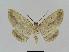  ( - BC EF Alc 00417)  @13 [ ] Copyright (2010) Unspecified Research Collection of Egbert Friedrich