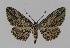  ( - BC EF Alc 00418)  @14 [ ] Copyright (2010) Unspecified Research Collection of Egbert Friedrich