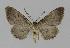  ( - BC EF Alc 00418)  @13 [ ] Copyright (2010) Unspecified Research Collection of Egbert Friedrich