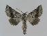  ( - BC EF Alc 00419)  @14 [ ] Copyright (2010) Unspecified Research Collection of Egbert Friedrich