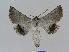  ( - BC EF Alc 00419)  @13 [ ] Copyright (2010) Unspecified Research Collection of Egbert Friedrich