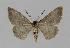  ( - BC EF Alc 00420)  @14 [ ] Copyright (2010) Unspecified Research Collection of Egbert Friedrich