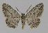  ( - BC EF Alc 00423)  @15 [ ] Copyright (2010) Unspecified Research Collection of Egbert Friedrich