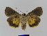  ( - BC FGJ Lep 01774)  @13 [ ] Unspecified (default): All Rights Reserved  Unspecified Unspecified