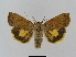  ( - BC FGJ Lep 01775)  @14 [ ] Unspecified (default): All Rights Reserved  Unspecified Unspecified