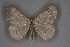  ( - BC NP 0191)  @13 [ ] Copyright (2010) Unspecified Research Collection of Norbert Poell