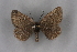  ( - BC NP 0194)  @11 [ ] Copyright (2010) Unspecified Research Collection of Norbert Poell