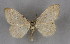  ( - BC NP 0208)  @11 [ ] Copyright (2010) Unspecified Research Collection of Norbert Poell