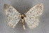  ( - BC NP 0248)  @11 [ ] Copyright (2010) Unspecified Research Collection of Norbert Poell