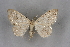 ( - BC NP 0262)  @11 [ ] Copyright (2010) Unspecified Research Collection of Norbert Poell