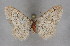  ( - BC NP 0264)  @11 [ ] Copyright (2010) Unspecified Research Collection of Norbert Poell