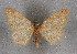  ( - BC NP 0267)  @11 [ ] Copyright (2010) Unspecified Research Collection of Norbert Poell