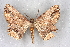  ( - BC NP 0276)  @13 [ ] Copyright (2010) Unspecified Research Collection of Norbert Poell