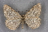  ( - BC NP 0285)  @14 [ ] Copyright (2010) Unspecified Research Collection of Norbert Poell