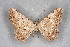  ( - BC NP 0292)  @13 [ ] Copyright (2010) Unspecified Research Collection of Norbert Poell