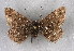  ( - BC NP 0304)  @13 [ ] Copyright (2010) Unspecified Research Collection of Norbert Poell