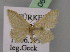  (Idaea proclivata - BC ZSM Lep 06873)  @13 [ ] CreativeCommons - Attribution Non-Commercial Share-Alike (2010) Unspecified SNSB, Zoologische Staatssammlung Muenchen