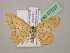  ( - BC ZSM Lep 07037)  @13 [ ] CreativeCommons - Attribution Non-Commercial Share-Alike (2010) Unspecified SNSB, Zoologische Staatssammlung Muenchen