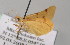  ( - BC ZSM Lep 13997)  @11 [ ] CreativeCommons - Attribution Non-Commercial Share-Alike (2010) Unspecified SNSB, Zoologische Staatssammlung Muenchen